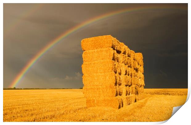 rainbow over wheat straw bales Print by Dave Reede