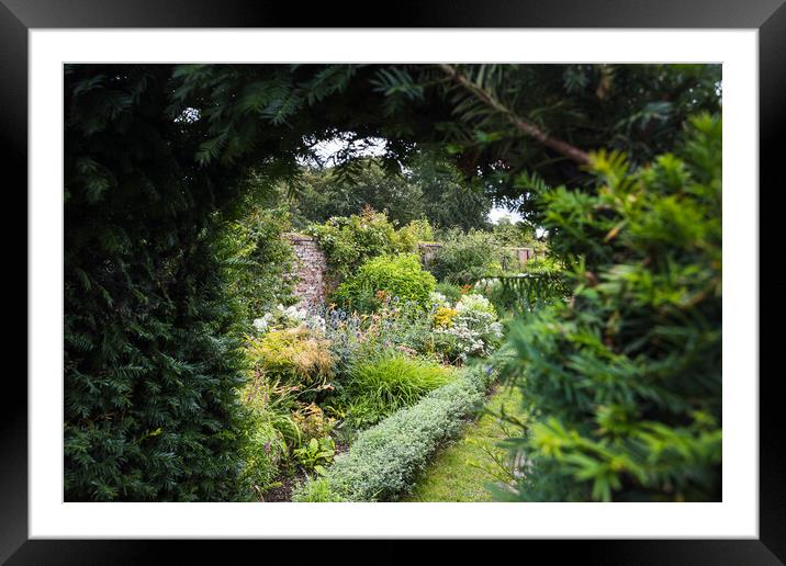 Walled garden in bloom Framed Mounted Print by Jason Wells