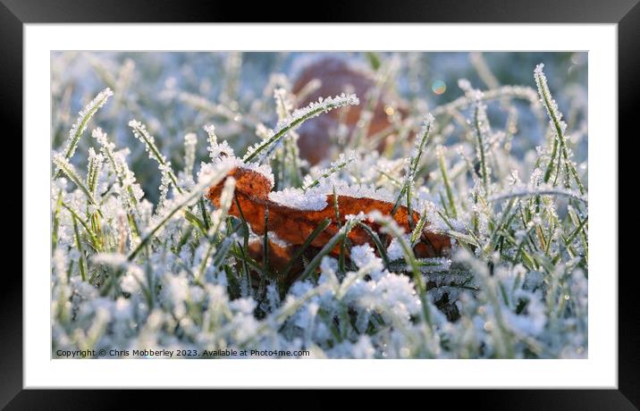 A frosty leaf Framed Mounted Print by Chris Mobberley