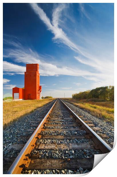 grain elevator Print by Dave Reede