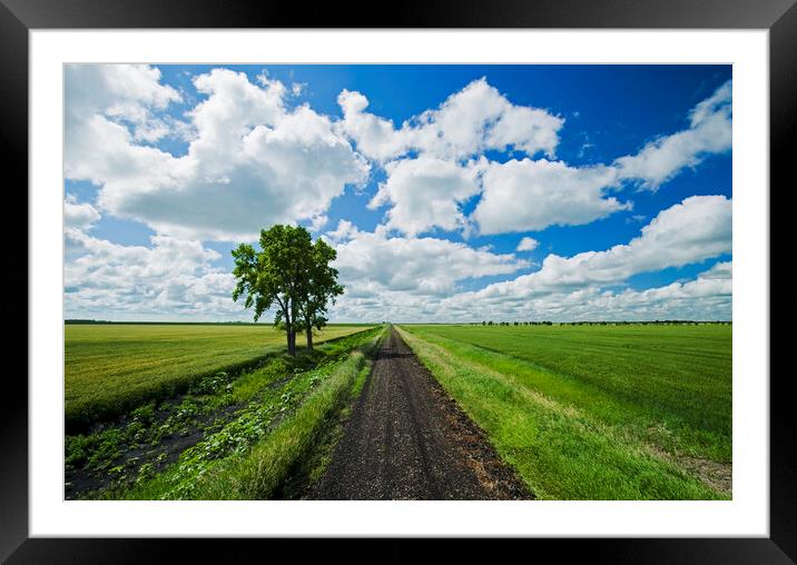 Backroad through farmland Framed Mounted Print by Dave Reede