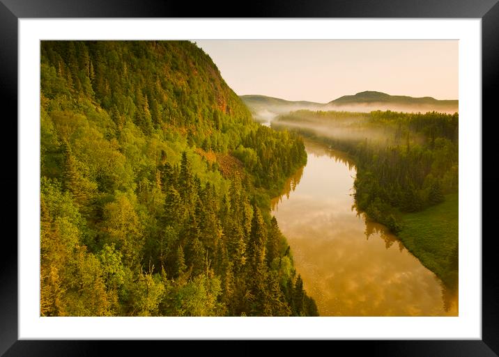 River through the forest Framed Mounted Print by Dave Reede