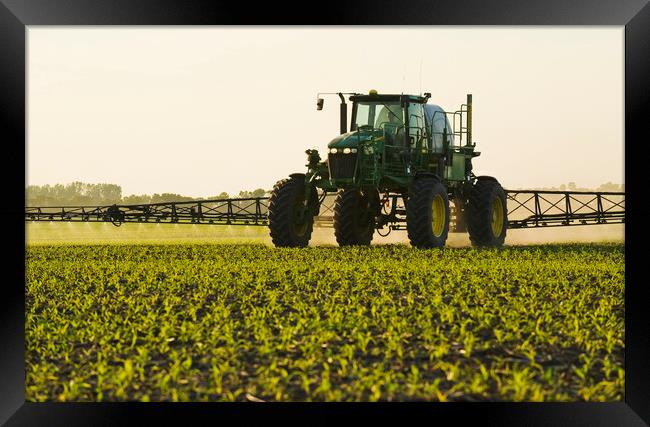 high clearance sprayer works in a field of early growth corn Framed Print by Dave Reede