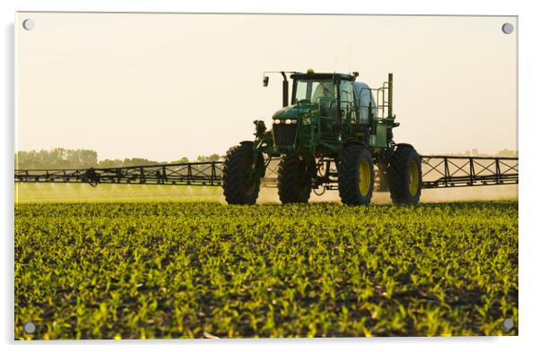 high clearance sprayer works in a field of early growth corn Acrylic by Dave Reede