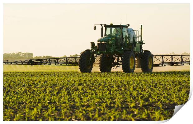 high clearance sprayer works in a field of early growth corn Print by Dave Reede