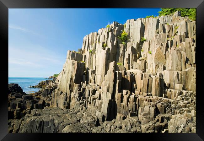 basalt rock cliffs Framed Print by Dave Reede