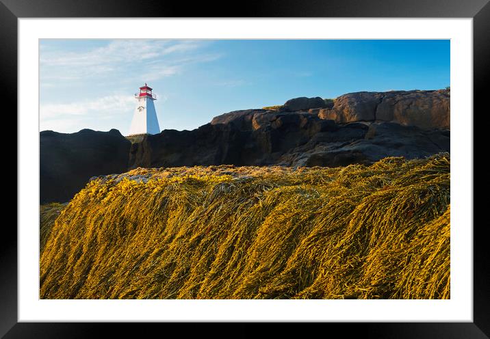DR_9576 Framed Mounted Print by Dave Reede