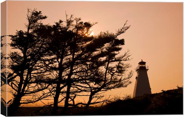 Boar's Head Lighthouse Canvas Print by Dave Reede