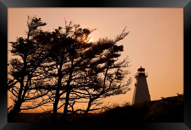 Boar's Head Lighthouse Framed Print by Dave Reede