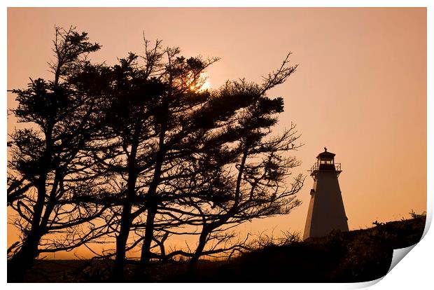 Boar's Head Lighthouse Print by Dave Reede