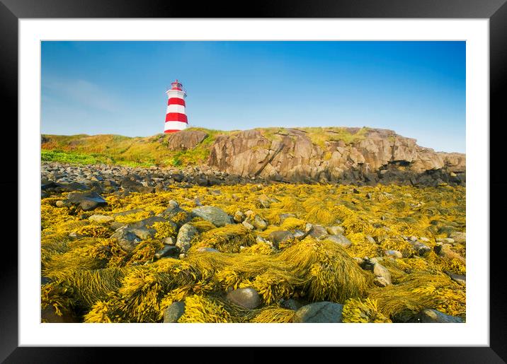 Brier Island lighthouse Framed Mounted Print by Dave Reede