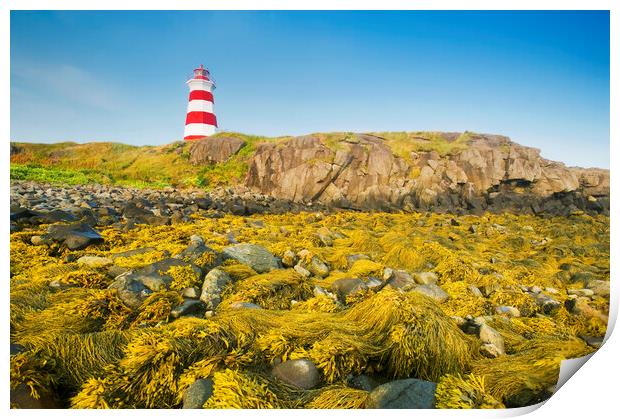 Brier Island lighthouse Print by Dave Reede