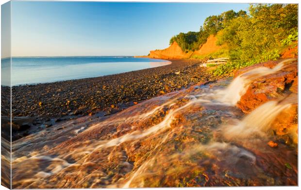 low tide and sandstone cliffs Canvas Print by Dave Reede