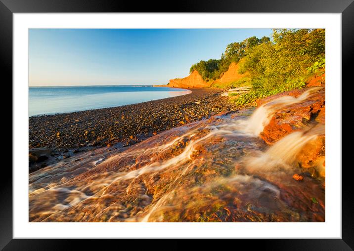 low tide and sandstone cliffs Framed Mounted Print by Dave Reede