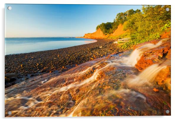 low tide and sandstone cliffs Acrylic by Dave Reede