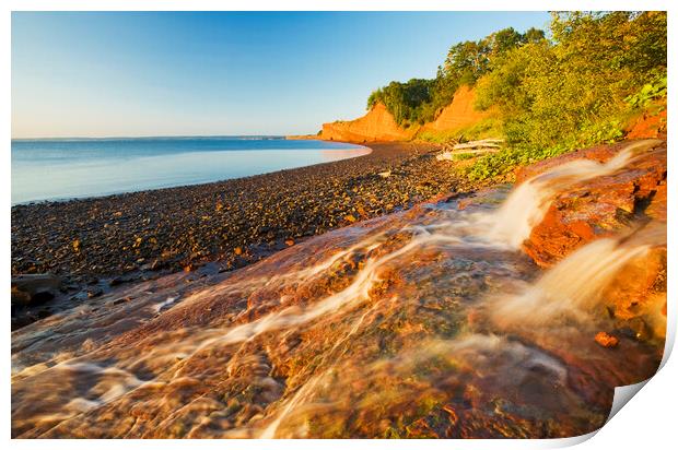 low tide and sandstone cliffs Print by Dave Reede