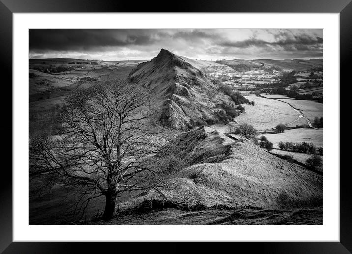 Chrome Hill Lone Tree Black and White Framed Mounted Print by Tim Hill
