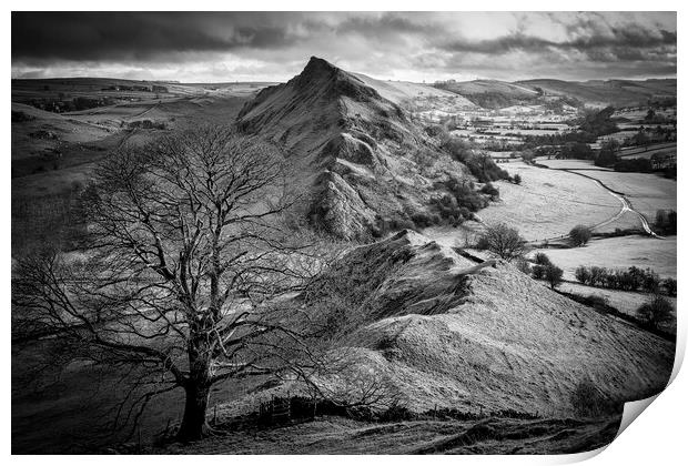 Chrome Hill Lone Tree Black and White Print by Tim Hill