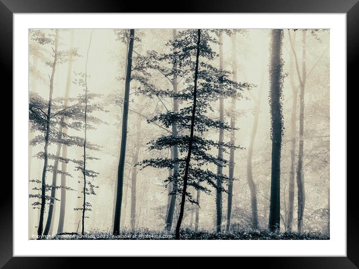 Trees in the mist Framed Mounted Print by Simon Johnson