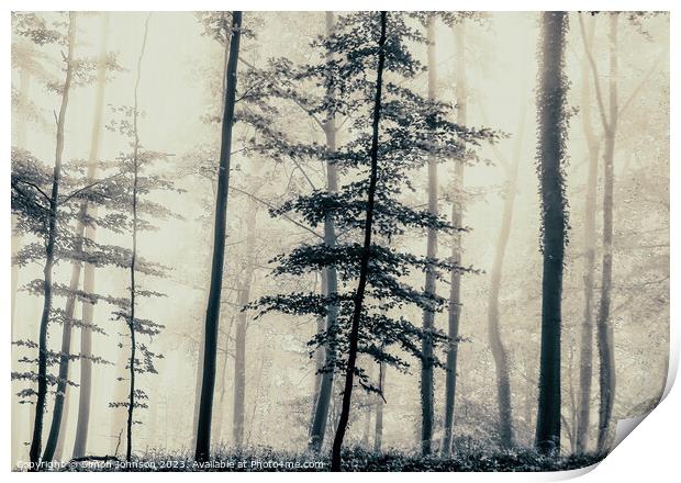 Trees in the mist Print by Simon Johnson