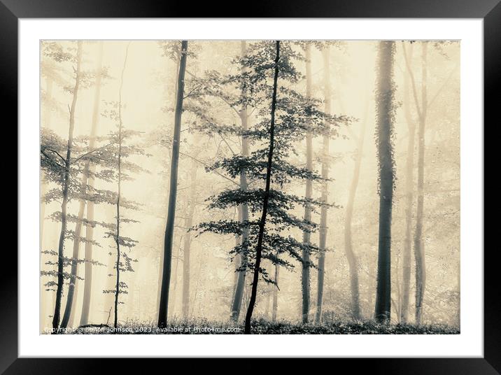 trees in the mist Framed Mounted Print by Simon Johnson