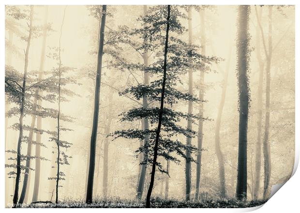 trees in the mist Print by Simon Johnson