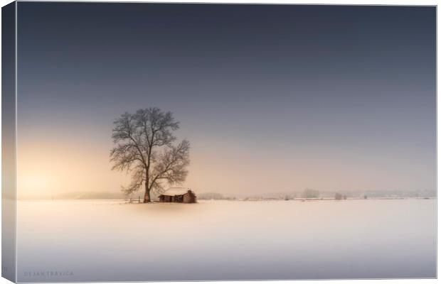 An old hut in the winter field Canvas Print by Dejan Travica