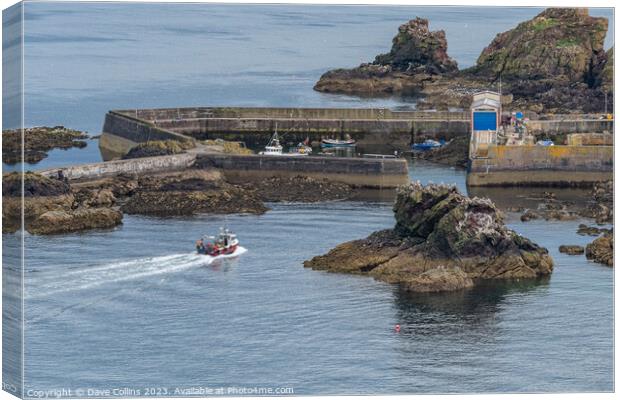 Fishing Boat approaching the  harbour entrance, St Abbs, Scotland Canvas Print by Dave Collins