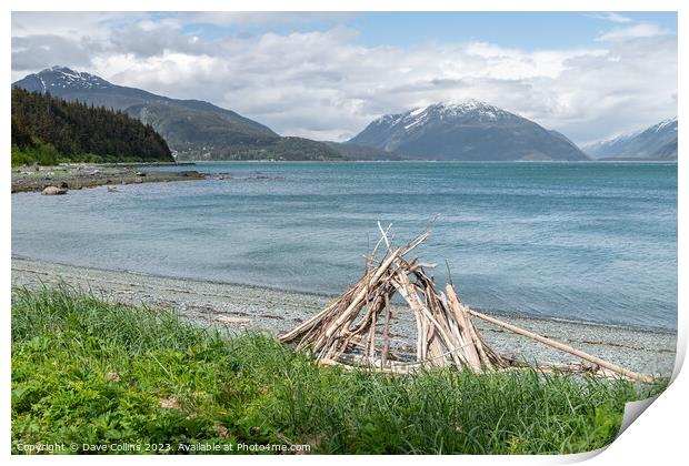 Beach in Chilkat State Park, Haines, Alaska, USA from Kelgaya Point Print by Dave Collins