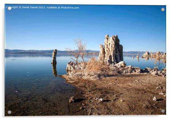 Majestic Mono Lake Acrylic by Derek Daniel