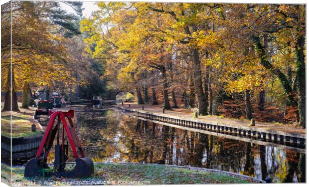 Autumn Colours on the Basingstoke Canal in Surrey Canvas Print by Pearl Bucknall