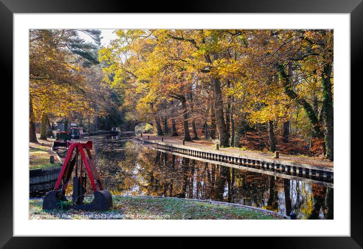 Autumn Colours on the Basingstoke Canal in Surrey Framed Mounted Print by Pearl Bucknall