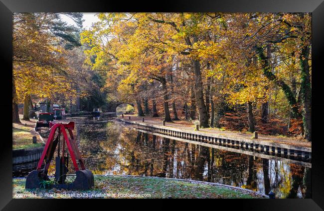 Autumn Colours on the Basingstoke Canal in Surrey Framed Print by Pearl Bucknall