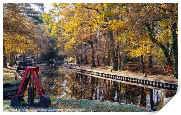 Autumn Colours on the Basingstoke Canal in Surrey Print by Pearl Bucknall