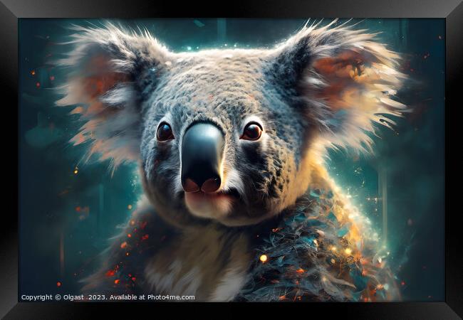 Koala portrait Framed Print by Olgast 