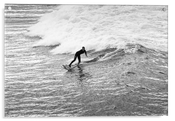Newquay Surfer Acrylic by David Pyatt