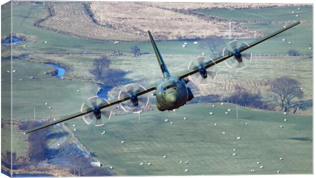 RAF C130J Hercules Canvas Print by Rory Trappe