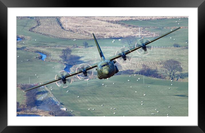 RAF C130J Hercules Framed Mounted Print by Rory Trappe