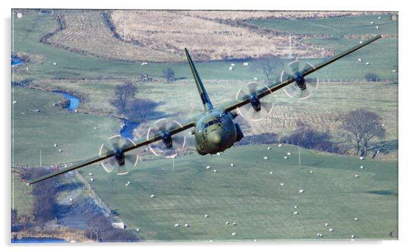 RAF C130J Hercules Acrylic by Rory Trappe