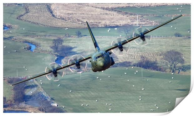 RAF C130J Hercules Print by Rory Trappe