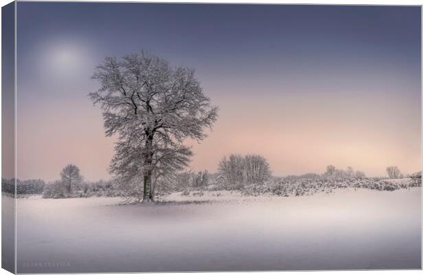 Winter tree Canvas Print by Dejan Travica