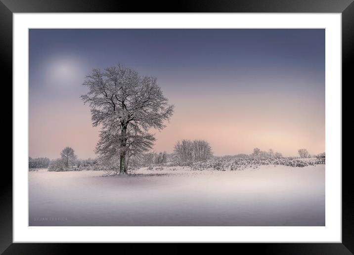 Winter tree Framed Mounted Print by Dejan Travica
