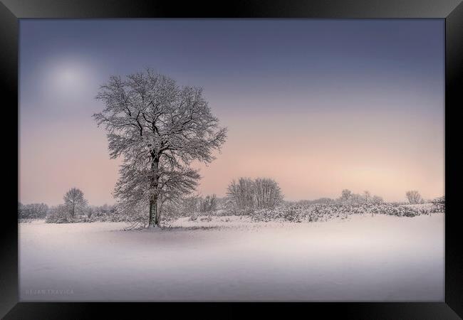 Winter tree Framed Print by Dejan Travica