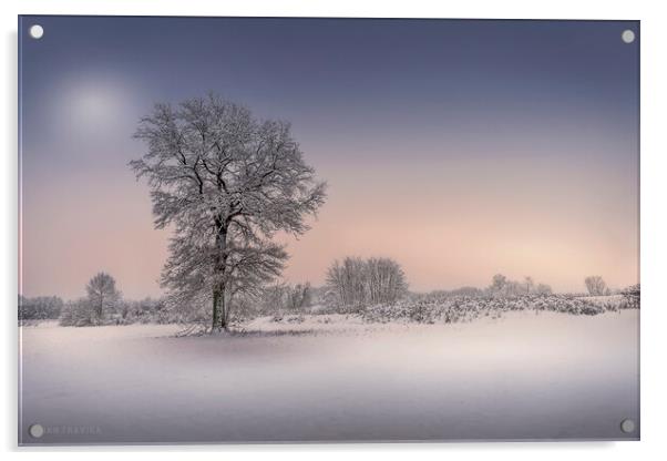Winter tree Acrylic by Dejan Travica