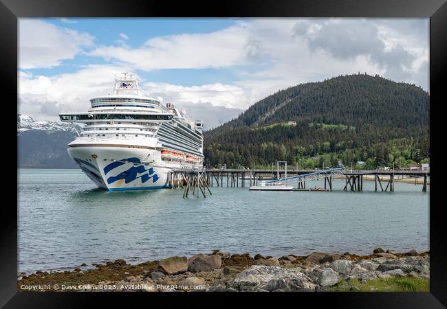 Princess Cruises ship Ruby Princess docked in the Chilkat inlet, Haines, Alaska, USA Framed Print by Dave Collins