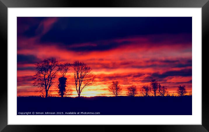 tree silhouettes  Framed Mounted Print by Simon Johnson