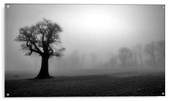 Eerie Tree Acrylic by Tom McPherson
