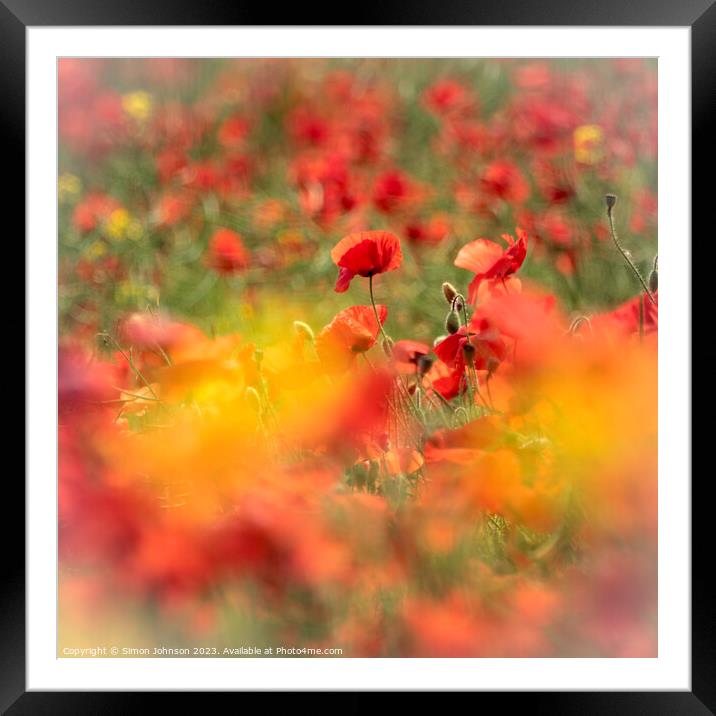 Poppy explosion Framed Mounted Print by Simon Johnson