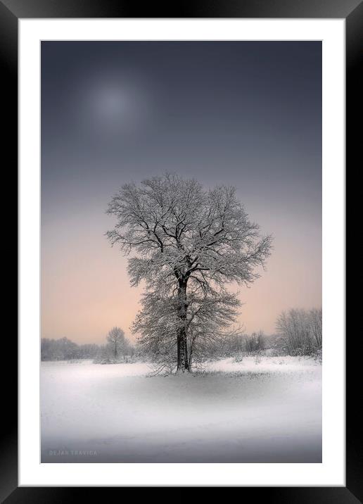 Winter solitude Framed Mounted Print by Dejan Travica