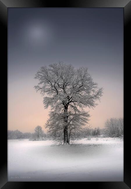 Winter solitude Framed Print by Dejan Travica